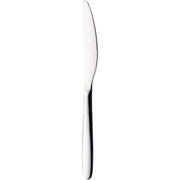 Nóż stołowy długość 21,8 cm TAMBRE-0